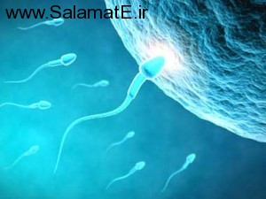 علت های کاهش میزان اسپرم