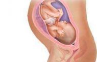 شناخت بیماری های عفونی در دوران بارداری