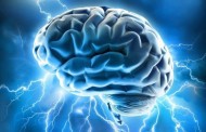 شش راه برای بهتر عمل کردن مغز | تقویت مغز