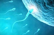 علت های کاهش میزان اسپرم با دلیل