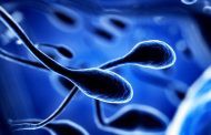 درمان و علت اسپرم های آسیب دیده | زیاد کردن اسپرم